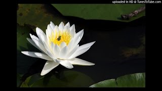 Keiko Matsui - Water Lily