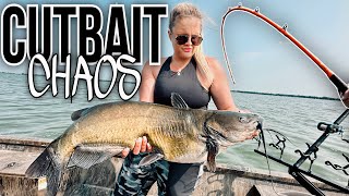 CUTBAIT CHAOS! Dragging a NEW lake for GIANT Channel CATFISH!