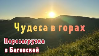 Я отменяю рак и старость. чудеса ПЕРЕЗАГРУЗКИ