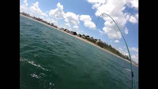 Nantasket Stripers