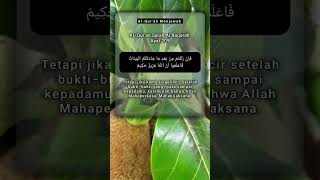 Al Qur'an Surah Al Baqarah Ayat 209 #shorts