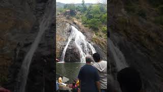 #Goa #Doodhsagar #Fall Trending