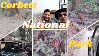 Jim Corbett National Park | Jungle Safari | Corbett Tiger Reserve | Tiger Reserve  Ramnagar