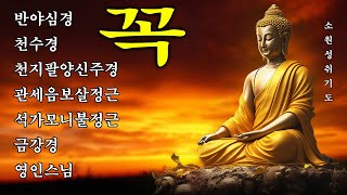 [소원성취기도] 금전운 과 소원을 들어주는 불경 🙏 반야심경,천수경,금강경,관세음보살정근,석가모니불정근,약사여래불정근,화엄경약찬게 - 영인스님