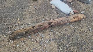 Unknown timber with bungs washed up on Lossiemouth beach