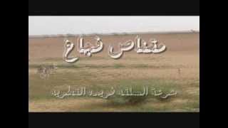 مطراد السلقه فريدة - السودان 2013