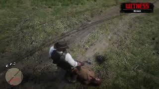 flying npc in #rdr2 (Read description)