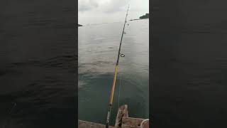 mancing di keramba mutun