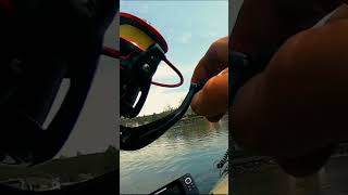 Small Mouth Yak-a-bass pre-prefish #shorts #freespooling #bassfishing #oldmankayakfishing