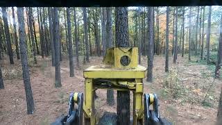 2nd Thinning Pine Plantation