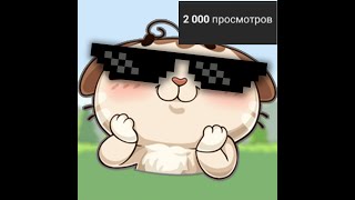 2000 просмотров!