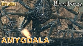 LET'S PLAY BLOODBORNE - AMYGDALA - BOSS FIGHT!!