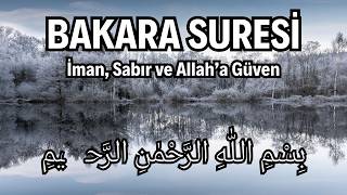 Bakara Suresi: Allah’ın Rahmeti ve Doğru Yolun Işığı | Kuran Dinle