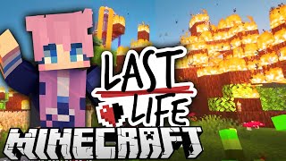 FIRE in the Fairy Fort | Ep. 5 | Last Life