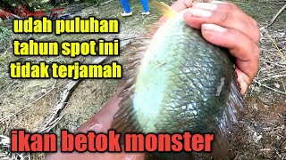 PULUHAN TAHUN SPOT RAWA BETOK INI ENGAK KEJAMAH ORANG || MANCING BETOK MONSTER