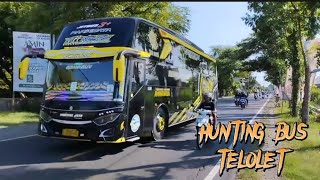 HUNTING BUS TELOLET BASURI SERU DI TAHUN 2024