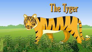 The Tyger - Poem - Animated - English - Class VIII