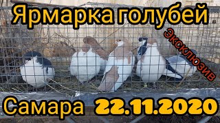 ЯРМАРКА ГОЛУБЕЙ В САМАРЕ 22.11.2020.FAIR OF PIGEONS IN SAMARA 22.11.2020