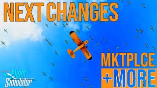 NEXT CHANGES to Microsoft Flight Simulator + Weekly News