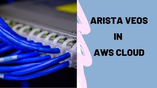 Arista vEOS in AWS Cloud