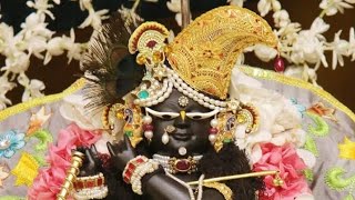 दिव्य दर्शन: 29-07-2023 || Divya Darshan || Mera Sanatan 🙏