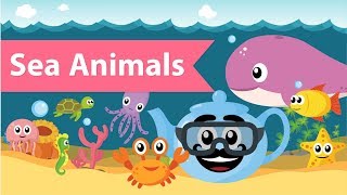 Kids Learning |  Learn Sea Animals Names