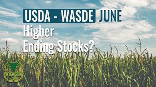 USDA WASDE Report | June 2022