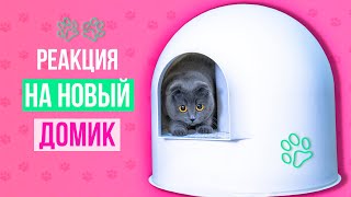 Новый ДОМИК для КОШКИ  с ТУАЛЕТОМ внутри ! Реакция КОШКИ и СОБАЧКИ