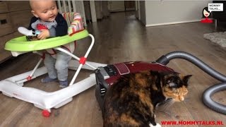 Miele Complete C3 Cat&Dog PowerLine stofzuiger review video