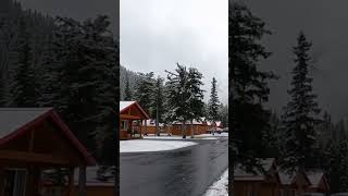 Winter in Canada 🇨🇦 Jasper East Cabins #snow #winterwonderland