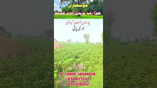 انتہائی خوبصورت زمین فارسیل #minivlog #minivlog# #shortsviral #houseforsale #land #punjabpakistan