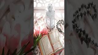 #quran #surahalikhlas #shortvideo #trending