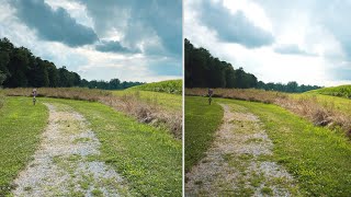 Can You Spot The Difference? Sony A7ii vs Apple iPhone 11 Pro Max