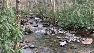 Stream in Great Smoky Mountains National Park - Vid 3