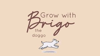 Grow with Brigo the doggo 🐕| a vlog