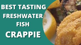 BEST TASTING FRESHWATER FISH | EASY CRAPPIE RECIPE