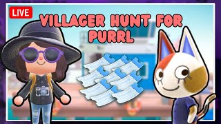 🔴 VILLAGER HUNT FOR PURRL