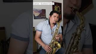 Cactus - Cerati Sax Instrumental 🌵🏜️