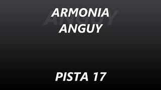 ARMONIA ANGUY - PISTA 17 - RIO SANTA CAUDALOSO