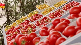 Erntezeit Landwirtschaftliche Fachschule