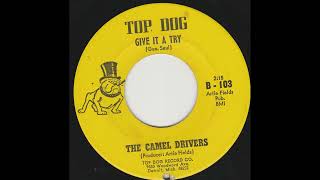 The Camel Drivers  Give it a Try  1967 Garage Rock