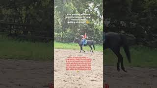 I'm so proud of these 2. 🥰 #apbeauregard #horse #dressage #horsetraining