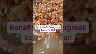 Benefits of Fenugreek Seeds For Hair #shorts #haircare #hairgrowth