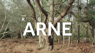 RSPB Arne, Dorset