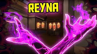 When you master Calm Aim with 3500h of Reyna