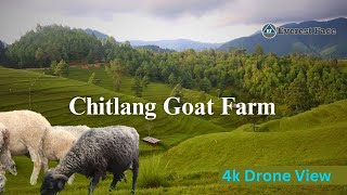 Chitlang Goat Farm ।। Beautiful View ।। चित्लाङ भेडा फार्म @EverestFaceTV