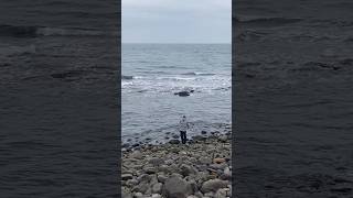 釣黑毛 磯釣 秘密釣點 fishing  🎣