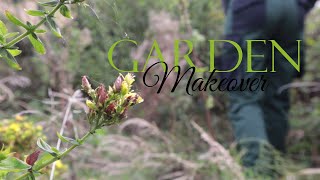 Garden makeover 🌱 / garden diaries