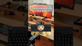 Keyboard Cat Finding Challenge