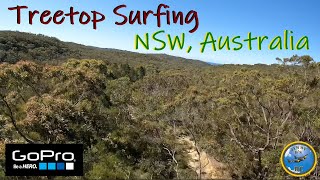 Treetop Surfing The Australian Bush